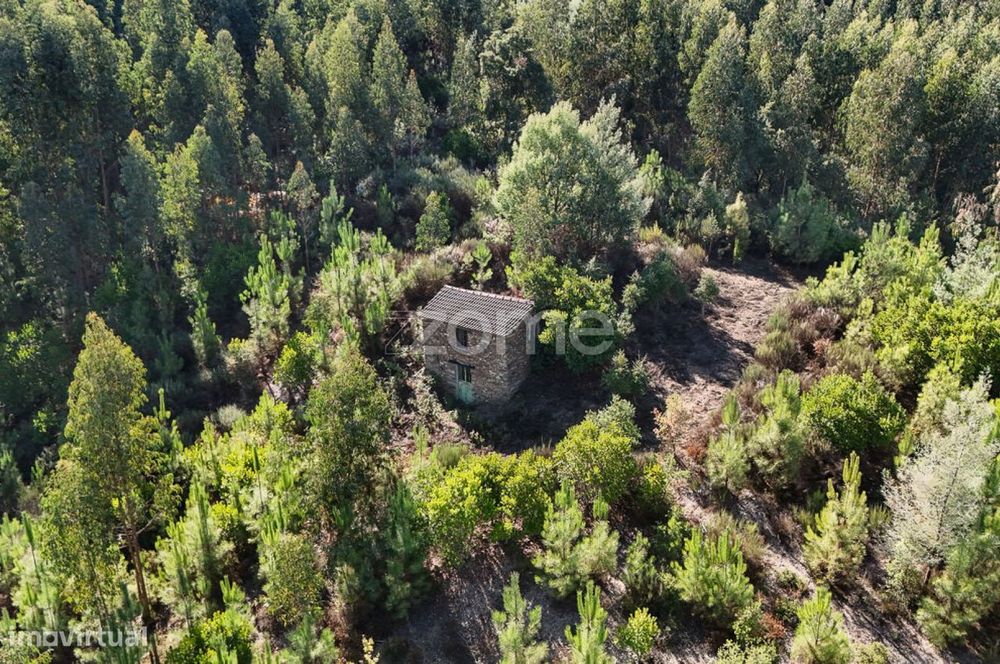 Terreno em Folques, Arganil