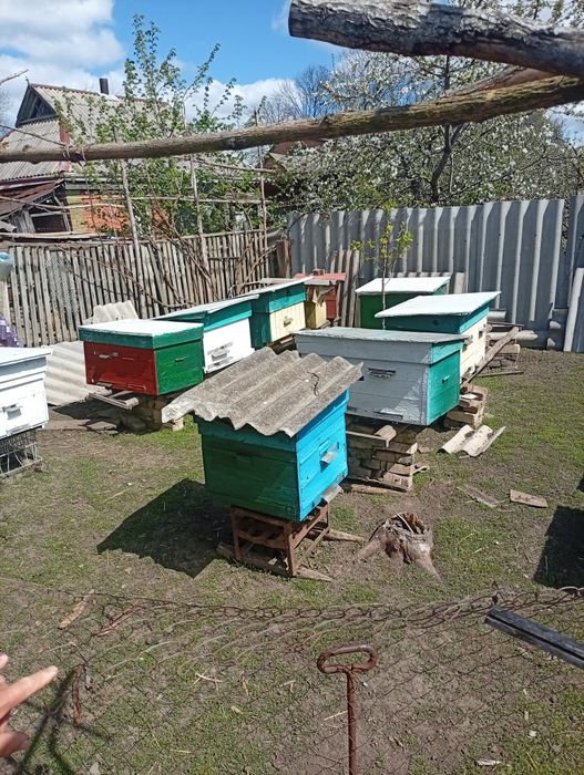 Продам вулики...