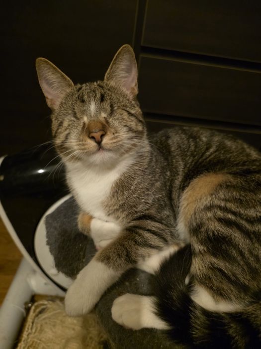 Siostry szukają domku