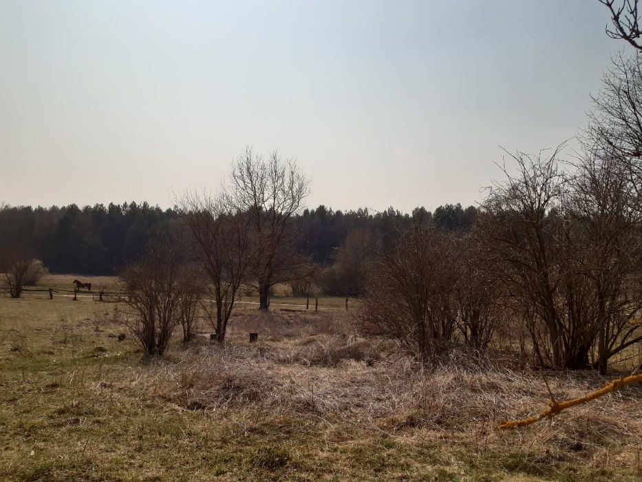 продам будинок ( Льв.обл. Радехівський р-н)