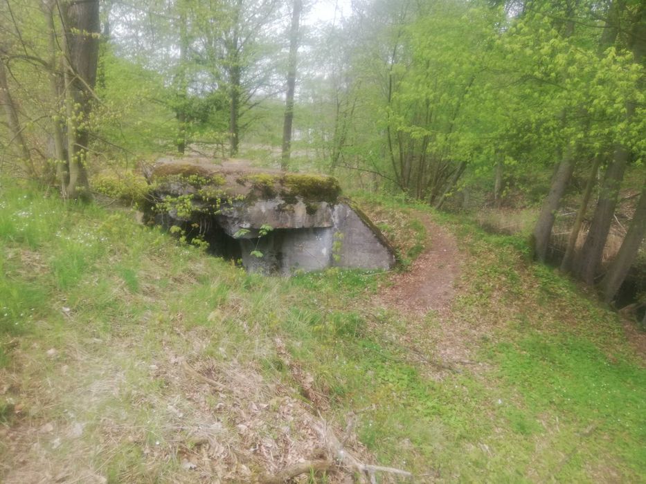 Agroturystyka pokoje dla par  grup pracowników tanie spanie