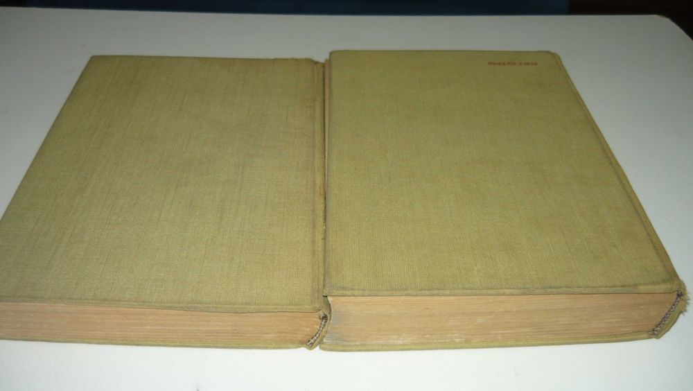 Wiktor Hugo Nędznicy T. I i II