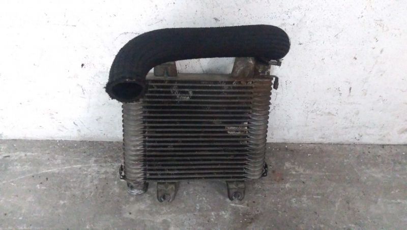 Intercooler Kia Carnival I (Up)