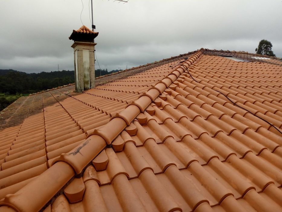 Limpeza de telhados, passeios e muros.