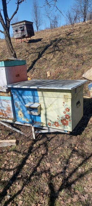 Продам вулики лежаки дадан б/У