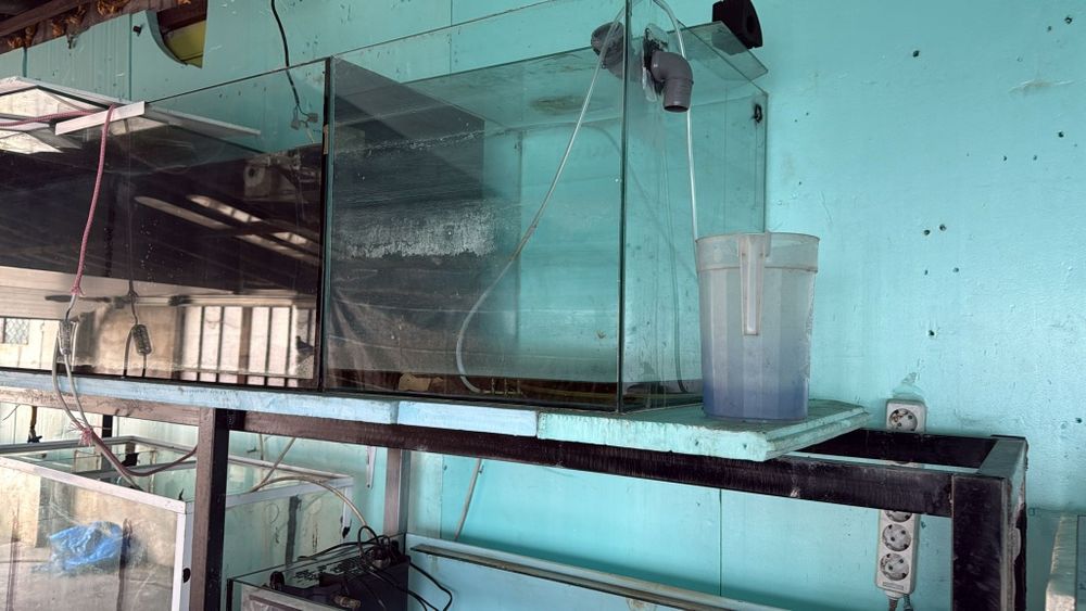 Aquários  para peixes ornamentais