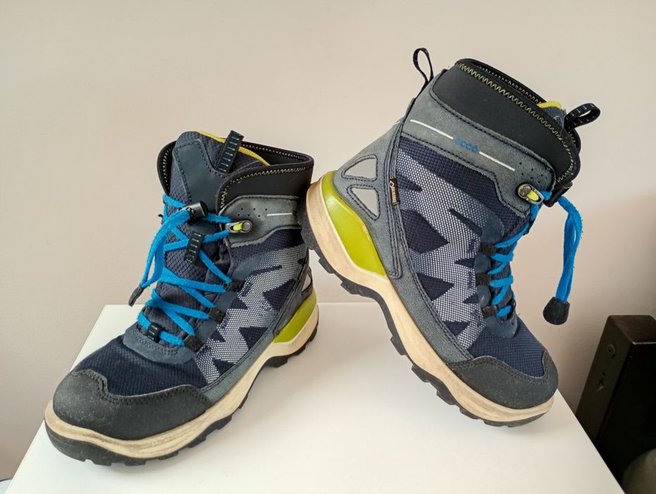 Ecco Gore-Tex roz 35