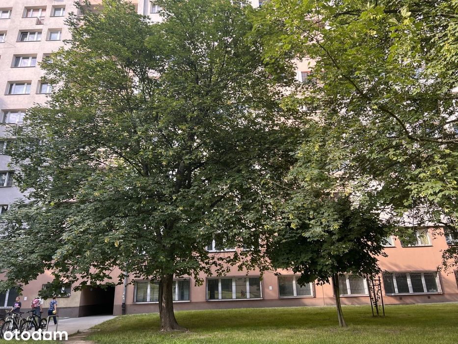 Apartment in Kraków - More