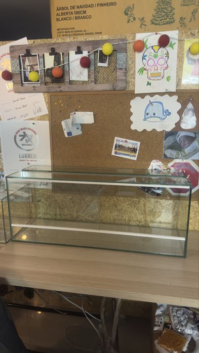 Terrario Grande 100cm