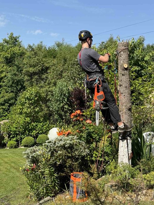 Обрізка, догляд та видалення аварійних дерев