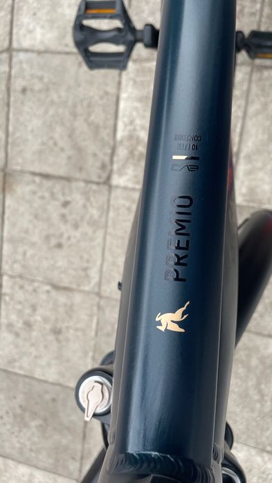 Rower elektryczny Pegasus