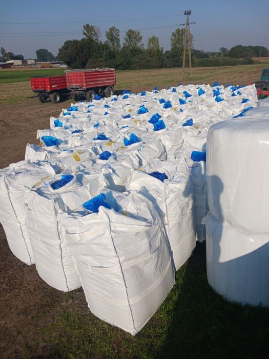 Sprzedam kukurydzę zmielone ziarno ccm