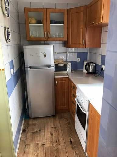 Działka ROD 384 m² z domkiem 39 m² | 250 m od jeziora | Prądocin | 195 000 zł - View 4