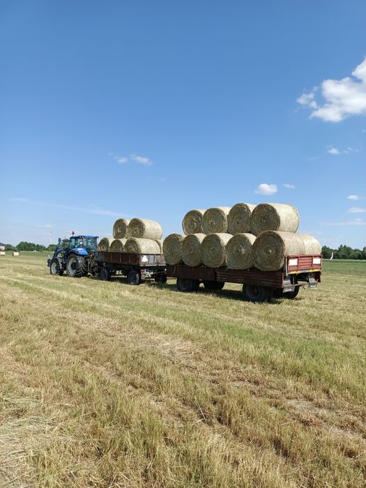 Siano w belach dla koni
