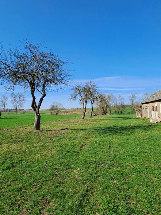 Działka 51 arów z domkiem i stodołą - Widok 4