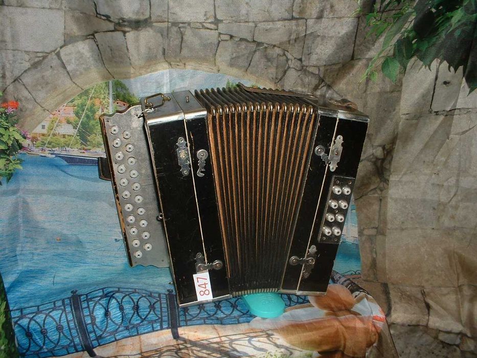 Promoção de Acordeões de concertinas