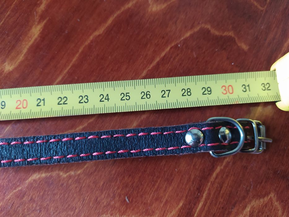 Ошейник для маленькой собачки, щенка, кошки