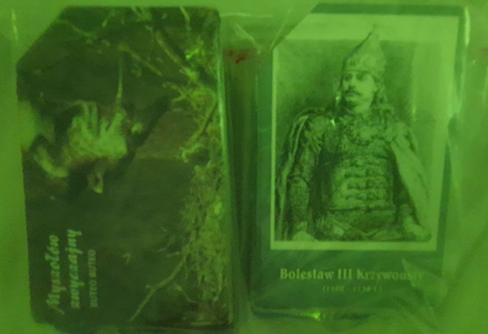 Polskie karty telefoniczne prawie wszystkie - stany bardzo dobre.