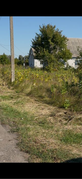 Продаж земельної ділянки с. Мошни (30 соток)