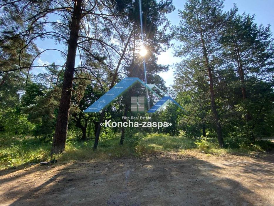 Ексклюзивна ділянка в лісовій частині. Козин. Конча Заспа