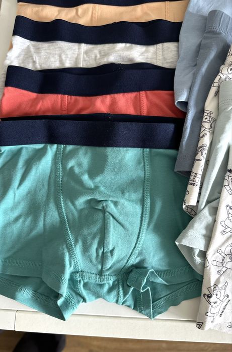 9 szt dziecięcych bokserek majtki dla chłopca h&m 122/128 bluey