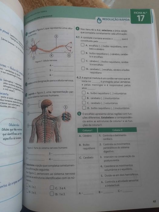 Caderno de Atividades de Ciências Naturais - 9.° ano