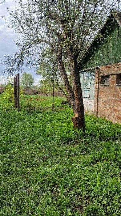 Продам дачу Терешки