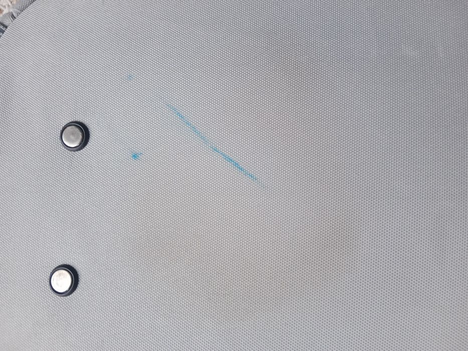 Walizka podróżna koala