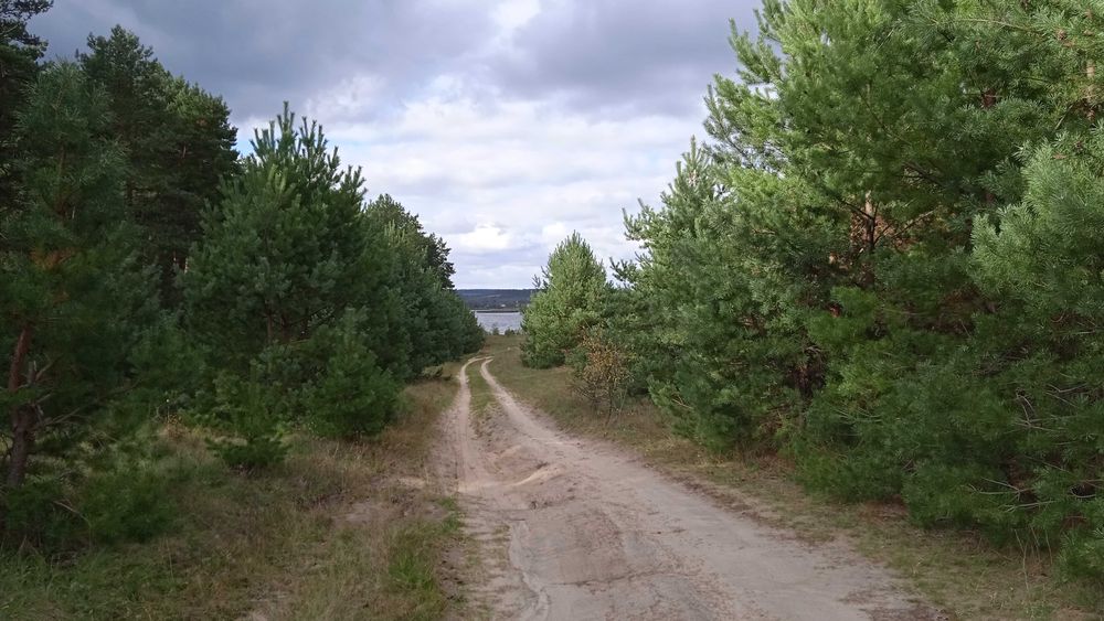 Хата в Жерденівці