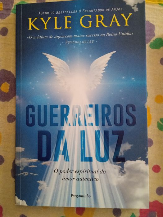 Livro guerreiros da luz