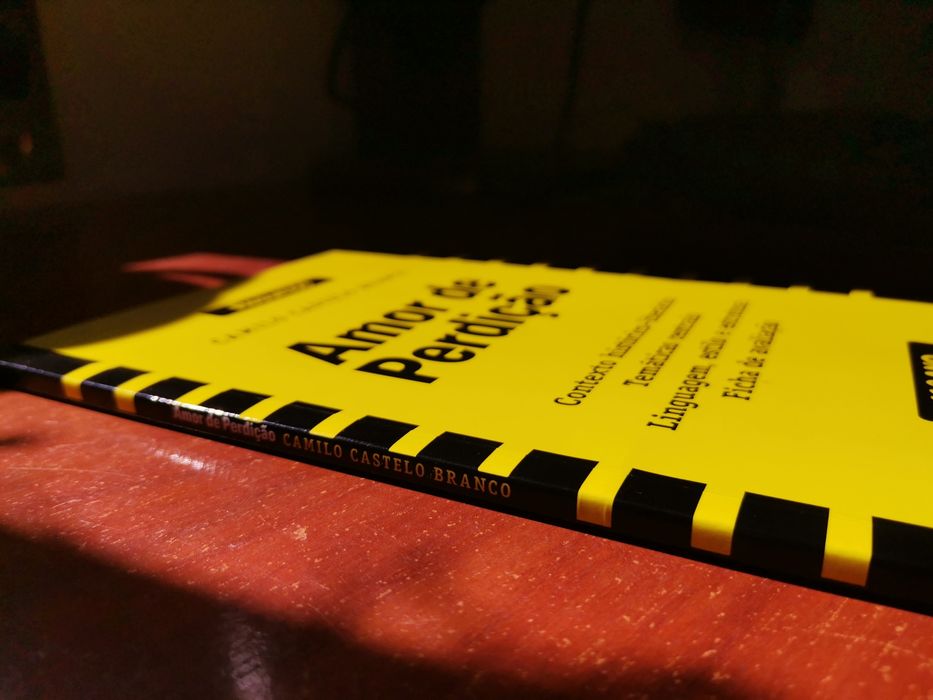 Livro de Resumos Amor de Perdição