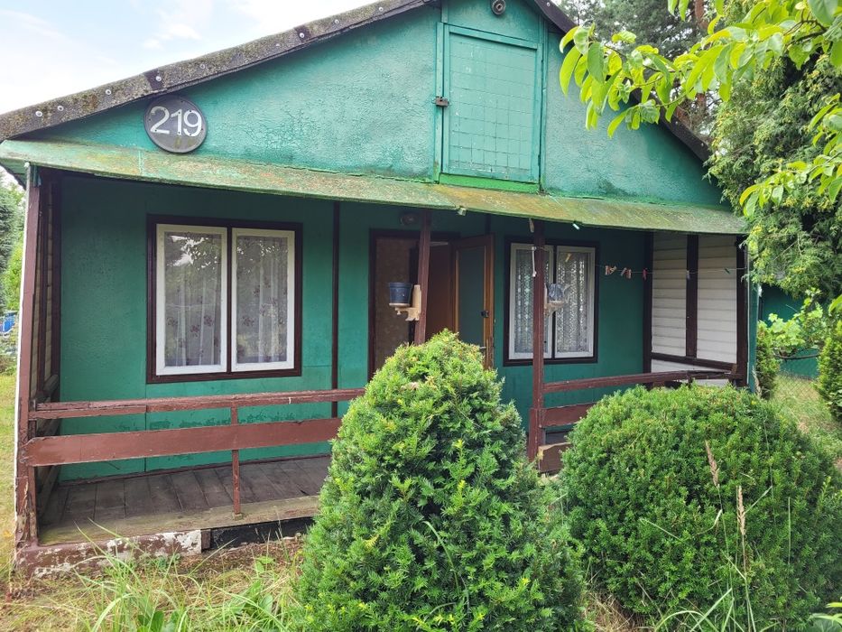 Działka ROD Bór Wypalanki