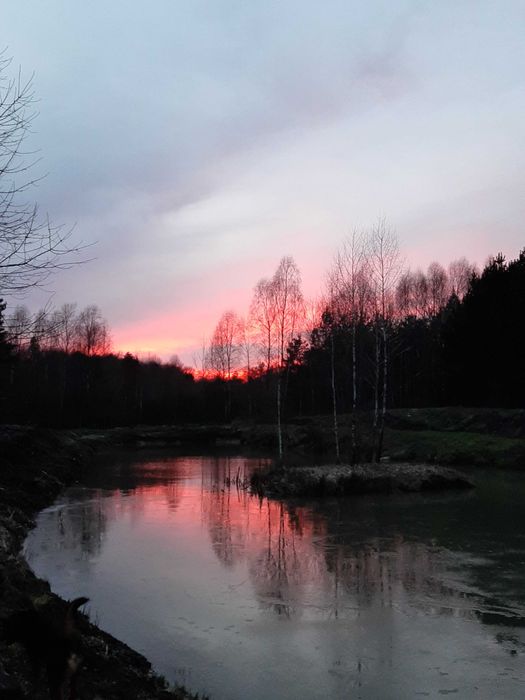 wynajem domku na Kaszubach