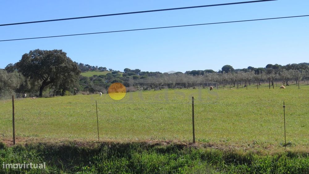Terreno rústico com 9070 m² em Santa Catarina - Alcácer do Sal