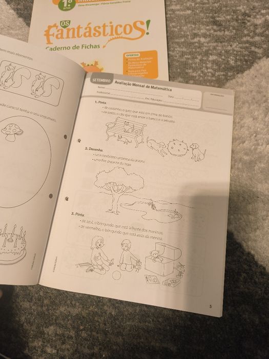 Caderno de fichas e fichas de avaliação 1° ano (NOVO)