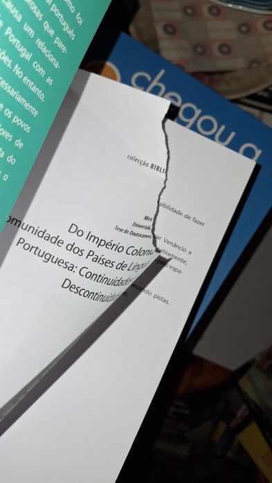 Do Império colonial à comunidade países língua portuguesa José Pinto