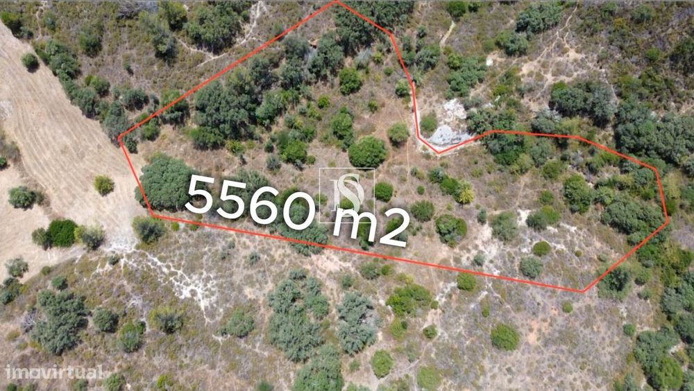 Rustic Land for Sale in Chancelaria, Torres Novas