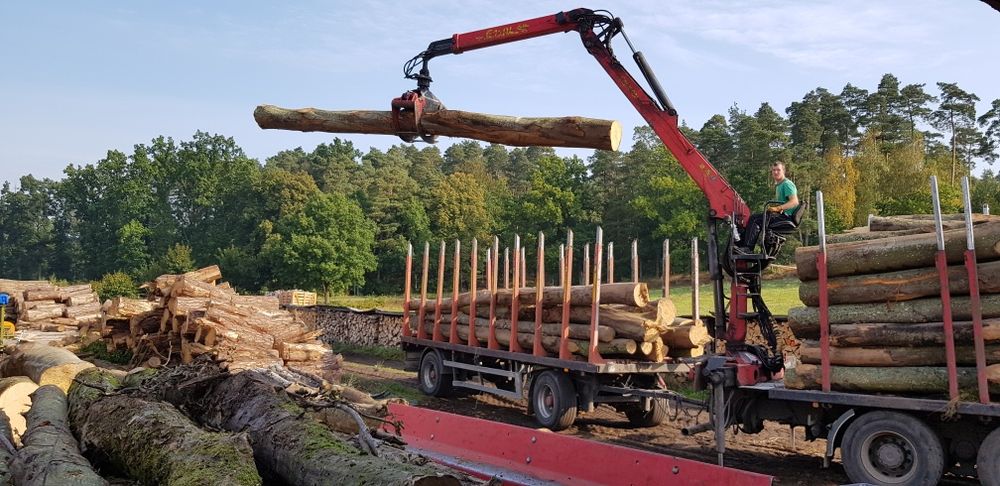 Drewno w walkach buk WDP i S2A