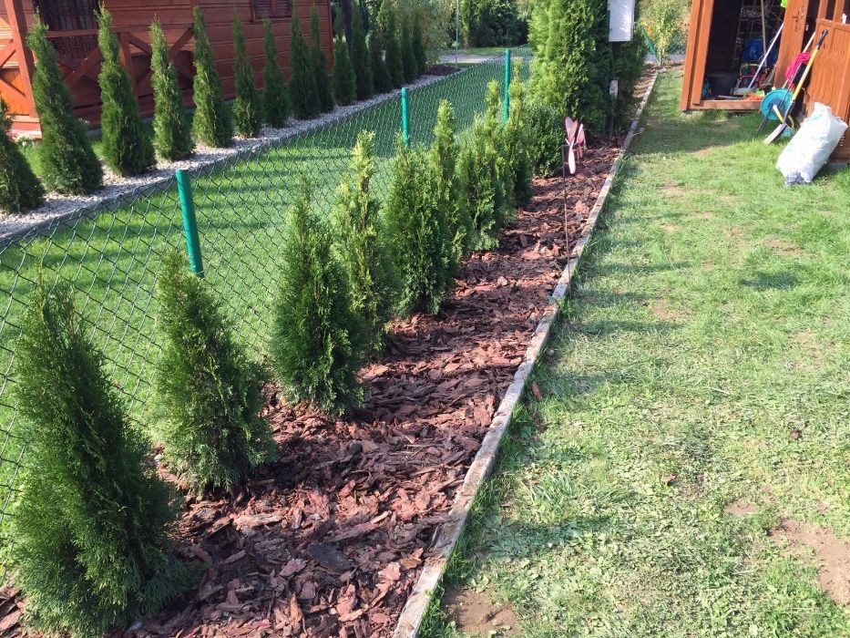 Kora Sosnowa Ogrodowa, worek 80l,