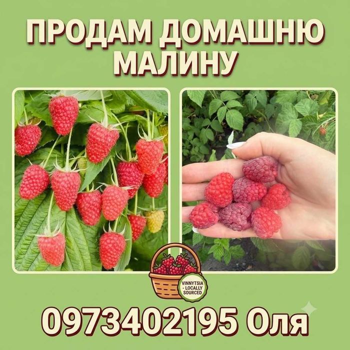 Малина солодка домашня