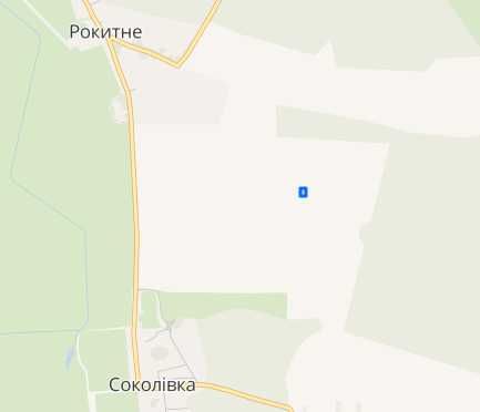 Земельна ділянка 12 сот, СТ Рокитне-1 A11