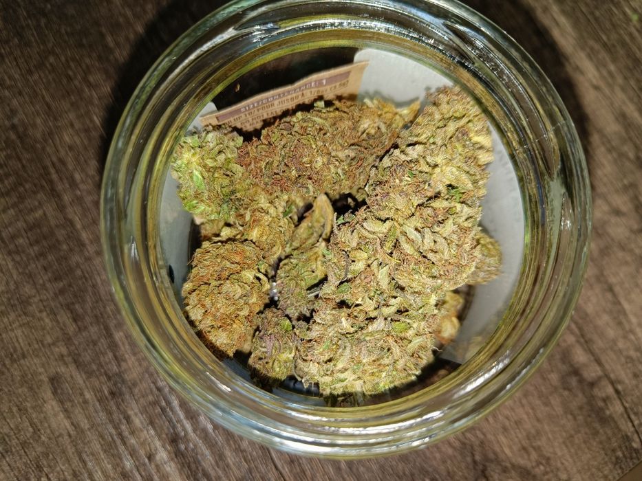 Susz CBD-V Victory 20 g