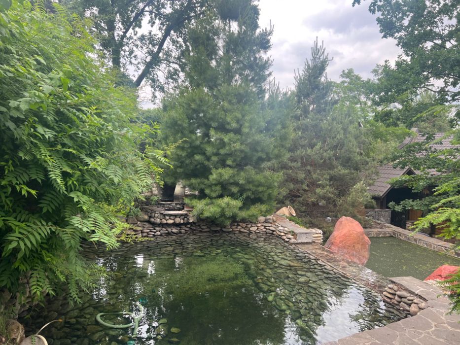 Будинок біля річки