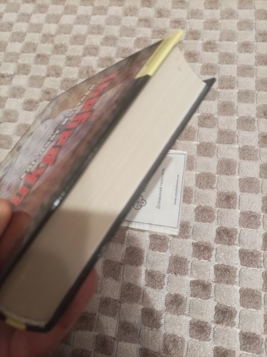 Елізабет Костова Викрадачі