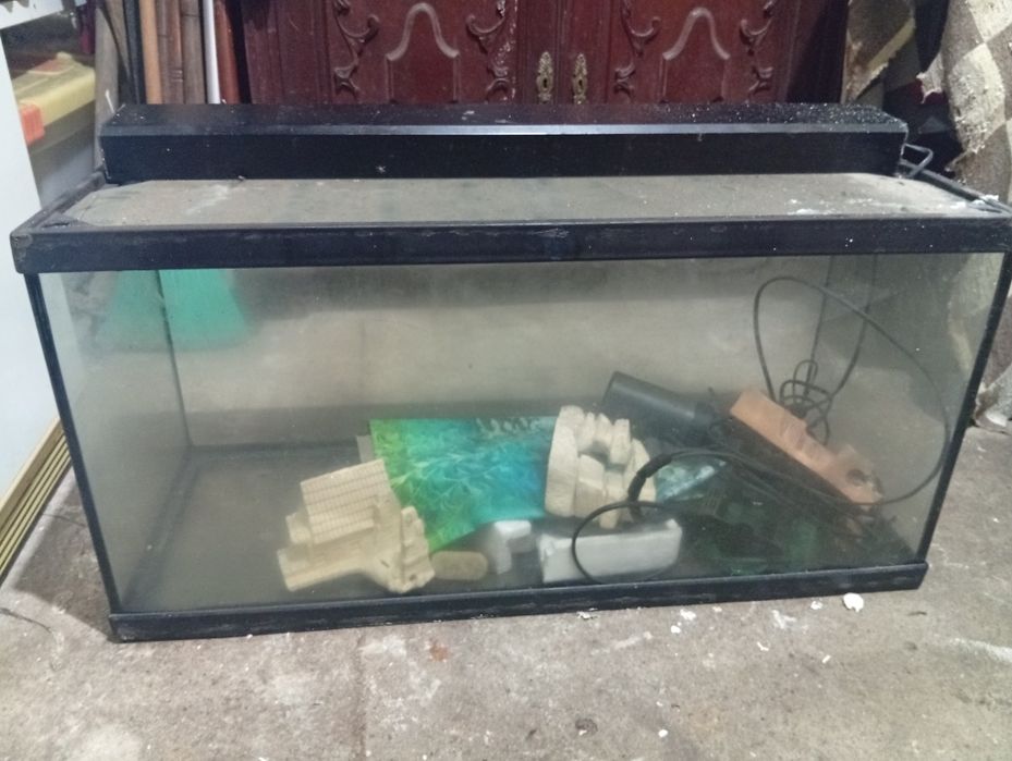 Aquário e respectivos