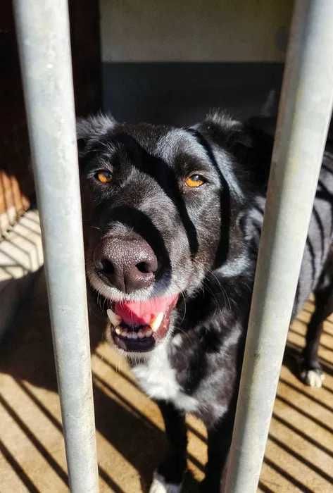 Bond nadal szuka domu