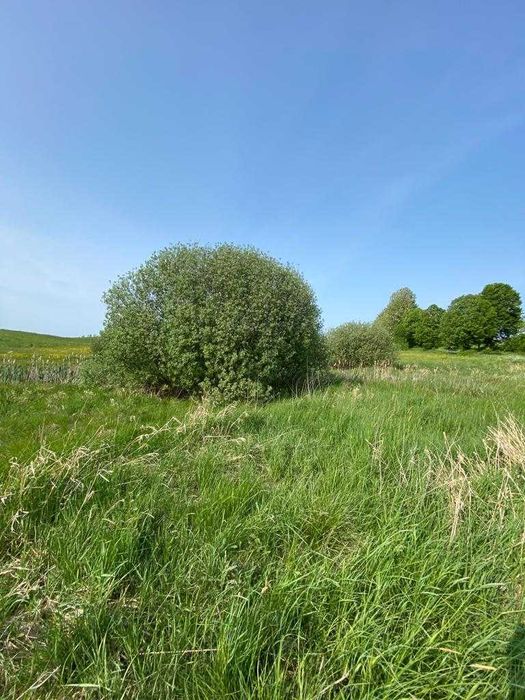 Działka na Mazurach, Burdąg 3261 m² - Widok 2