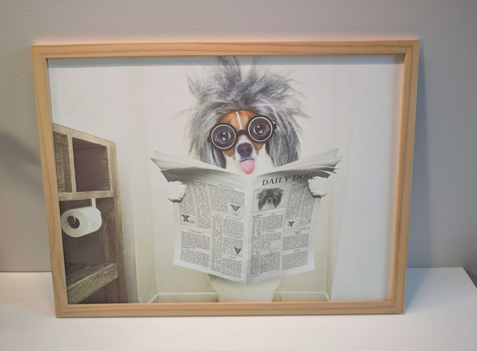Obrazek śmieszny do toalety WC pies daily dog 32x42cm