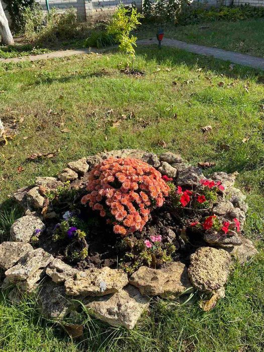 Продам дачу в Каролино-Бугазе