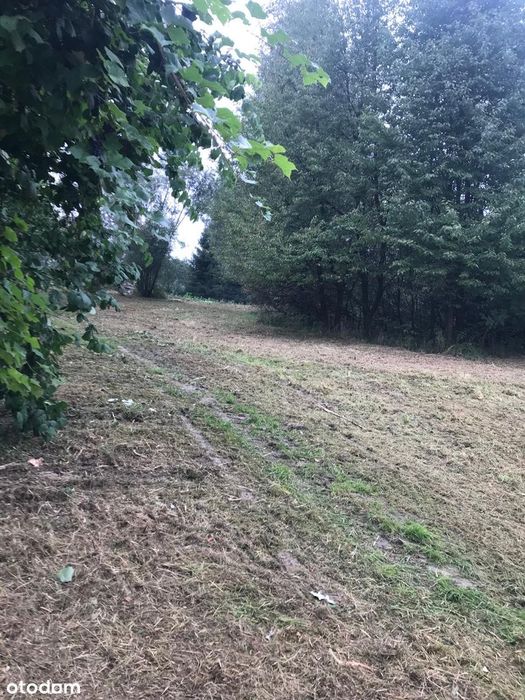 Działka budowlana nad jeziorem Żywieckim